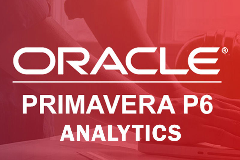 P6 Analytics data visualization in Canberra