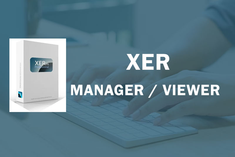 XER Viewer tutorial in New Delhi