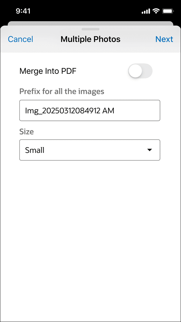 Multi-Image Capture and PDF Generation