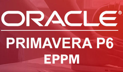 Oracle Primavera P6 License